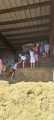 IMG-20250630-WA0004