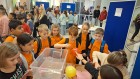 IMG-20250402-WA0003