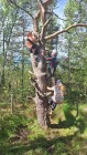 IMG-20250521-WA0010