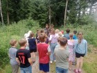 IMG-20250627-WA0017