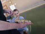 IMG-20250407-WA0018