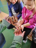 IMG-20250407-WA0021