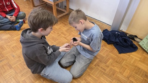 IMG-20260323-WA0005