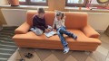 IMG-20260327-WA0008