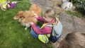 IMG-20260519-WA0033